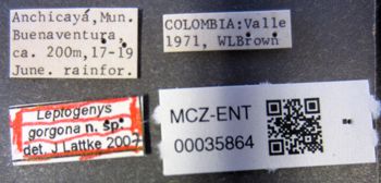 Media type: image;   Entomology 35864 Aspect: labels